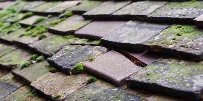 Newent roof repair costs